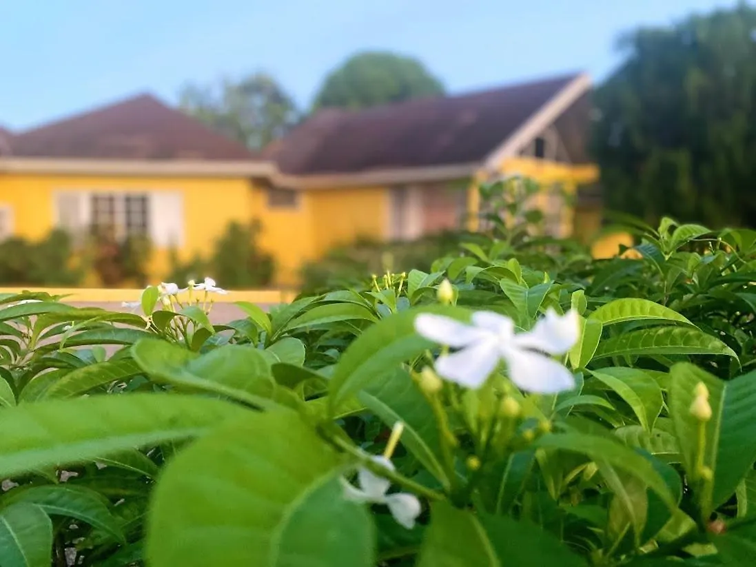 Yancey Largo Villa With Private Pool Montego Bay 0*,  Jamaïque