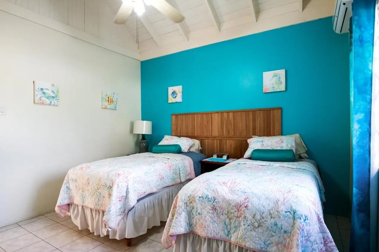 Yancey Largo Villa With Private Pool Montego Bay 0*,